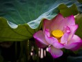 八字里五行缺什么，这辈子就真的缺什么吗？聊聊我这些年看盘的一点心得