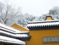 月老算姻缘到底准不准？看完这篇你就懂了，附全文在线阅读心得