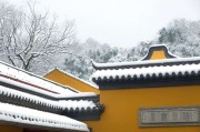 八字夫妻星火查询，你命里的那盏灯，是暖你还是烫你？