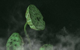 袁世凯是什么命？从八字看他这皇帝命到底差在哪儿