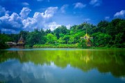 八字命宫星座查询，别光看太阳星座，你的命宫才藏着真脾气